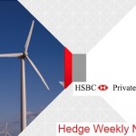 Hedge Fund Performance In 2011