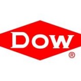 The Dow Chemical Company (NYSE:DOW)