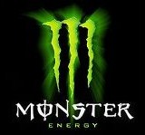 These 12 Stocks Could be Top Gainers in 2013