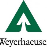 Weyerhaeuser Company (NYSE:WY)