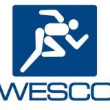 WESCO International, Inc. (NYSE:WCC)