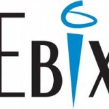 Ebix Inc (NASDAQ:EBIX)
