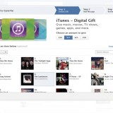 Apple Inc. (AAPL), Facebook Inc (FB)