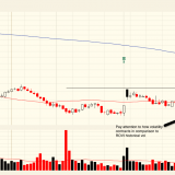 2 Stocks to Buy in 2013
