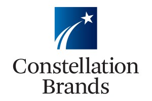 Synthetic put bearish on Constellation Brands Inc (STZ)