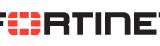 Fortinet Inc (NASDAQ:FTNT)