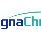 Magnachip Semiconductor Corp