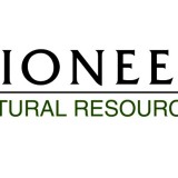 Pioneer Natural Resources (NYSE:PXD)