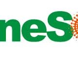 ReneSola Ltd.