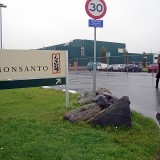 Monsanto Company (MON)