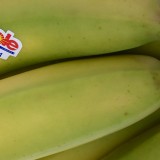 Credit: Dole, by canadianfamily