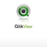 Qlik Technologies Inc (QLIK) Qlik Technologies Inc (QLIK)