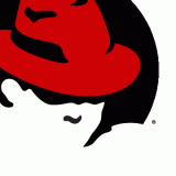 Red Hat Inc (NYSE:RHT)