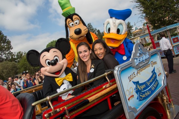 The Walt Disney Company The Walt Disney Company (NYSE:DIS)