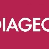 Diageo plc (ADR) (NYSE:DEO)