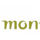 Monster Worldwide, Inc. (NYSE:MWW)
