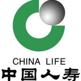 China Life Insurance Company Ltd. (ADR) (NYSE:LFC)