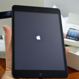Apple Inc. (AAPL)