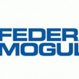 Federal-Mogul Corporation (NASDAQ:FDML)