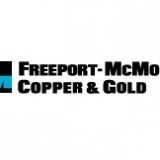 Freeport-McMoRan Copper & Gold Inc. (NYSE:FCX)