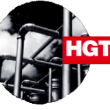 Hugoton Royal Trust (NYSE:HGT) Hugoton Royal Trust (NYSE:HGT)