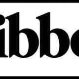 LIBBEY INC LIBBEY INC