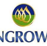 Pengrowth Energy Corp (USA) (NYSE:PGH)