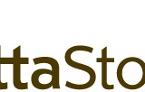 Rosetta Stone Inc (NYSE:RST)