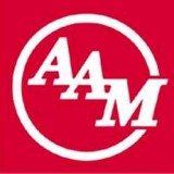 american axle & manufacturing holdings inc american axle & manufacturing holdings inc