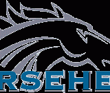 HORSEHEAD HOLDING CORP. (NASDAQ:ZINC)