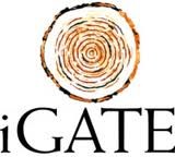 iGATE Corporation iGATE Corporation (NASDAQ:IGTE)
