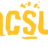 Pacific Sunwear of California, Inc. (NASDAQ:PSUN)