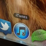Apple Inc. (AAPL)