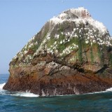 credit: Wikimedia Commons: Rockall - the most difficult island in the world to sleep on - geograph.org.uk - 1048828.jpg by Andy Strangeway