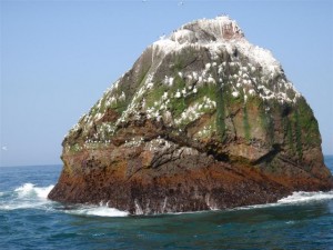 credit: Wikimedia Commons: Rockall - the most difficult island in the world to sleep on - geograph.org.uk - 1048828.jpg by Andy Strangeway