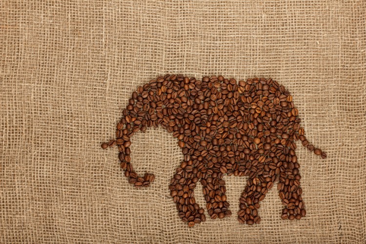 Countries that Export the Most Coffee in the World