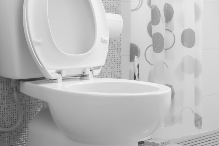 7 Most Expensive Toilets in the World Insider Monkey