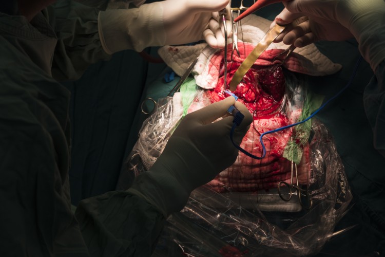 ChaNaWiT/Shutterstock.com 19 Highest Paying Jobs for Doctors