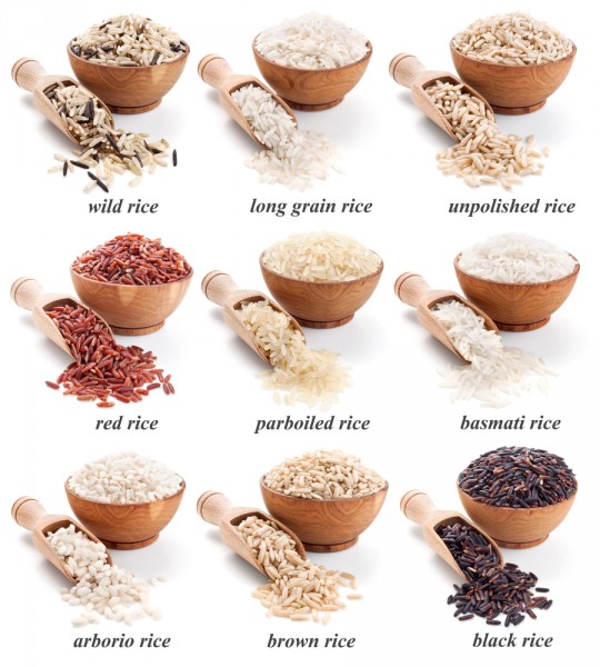 Examples of Genetically Modified Foods with Full Explanations