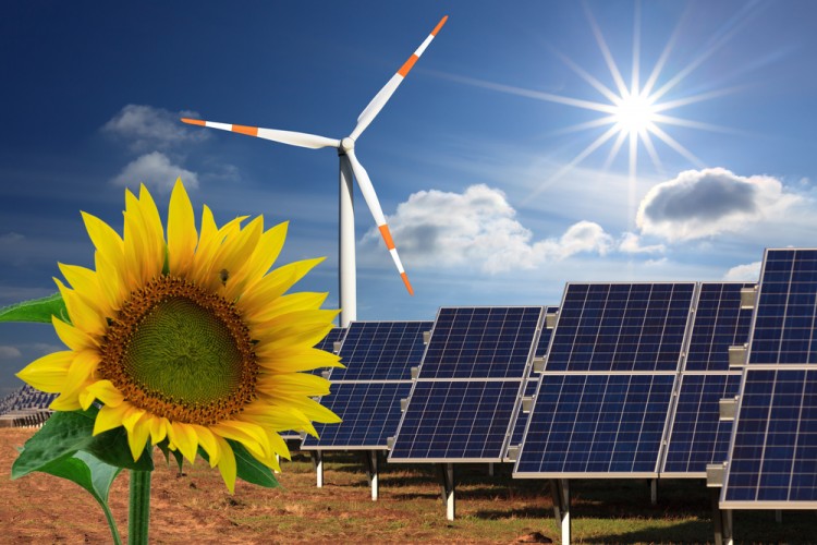 power, generator, green, yellow, transition, sunny, sunflower, change, light, sun, energy, panel, wind, sustainable, collector, renewable, ecological, eco, future, flower,
