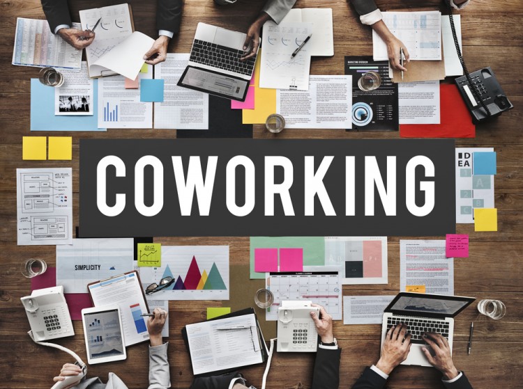 16 Affordable Coworking Spaces in Manhattan and Brooklyn