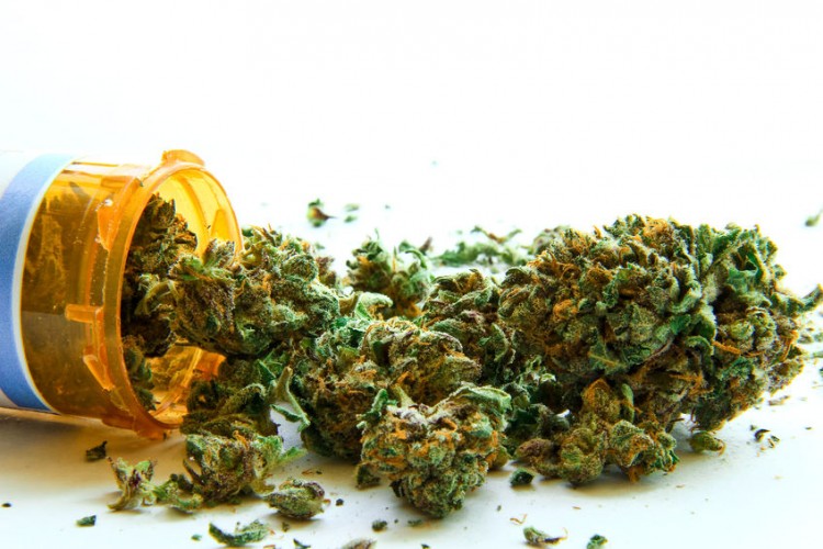 Best Weed Documentaries on Netflix, Hulu, Amazon Prime and YouTube