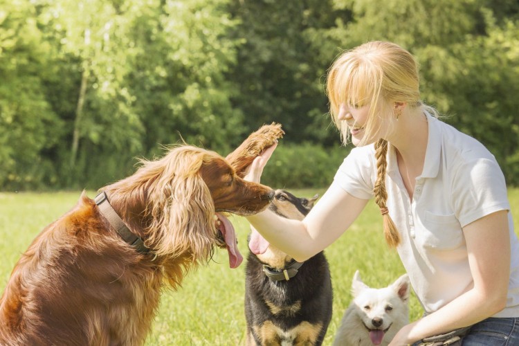 10 Low-Stress Jobs For People With Anxiety and Depression Disorder