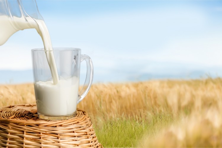 Examples of Genetically Modified Foods with Full Explanations