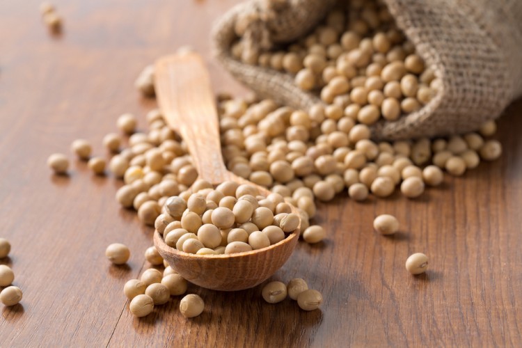 Examples of Genetically Modified Foods with Full Explanations