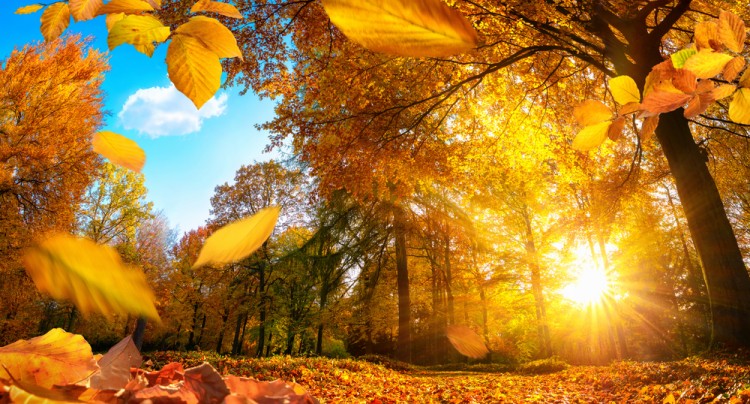 The 10 Best Places to Visit in USA in October