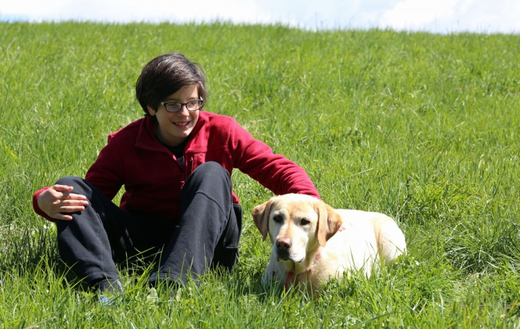 11 Best Therapy Dog Breeds For Autistic Children