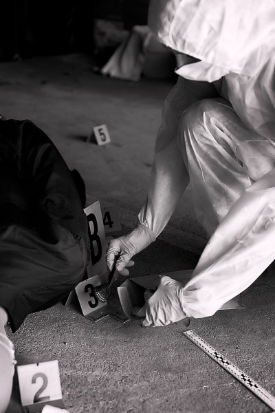 12 Biggest Organized Crime Groups in America