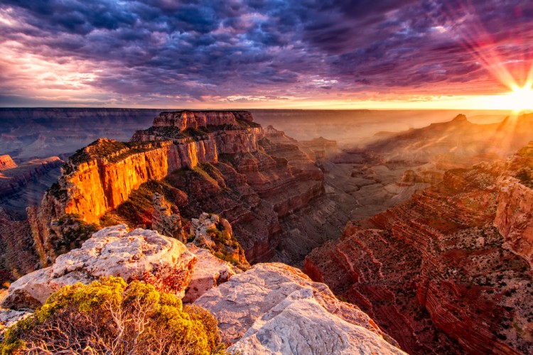 Erik Harrison/Shutterstock.com