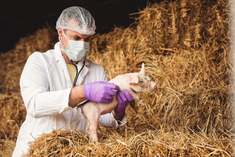 15 Best States for Animal Scientists